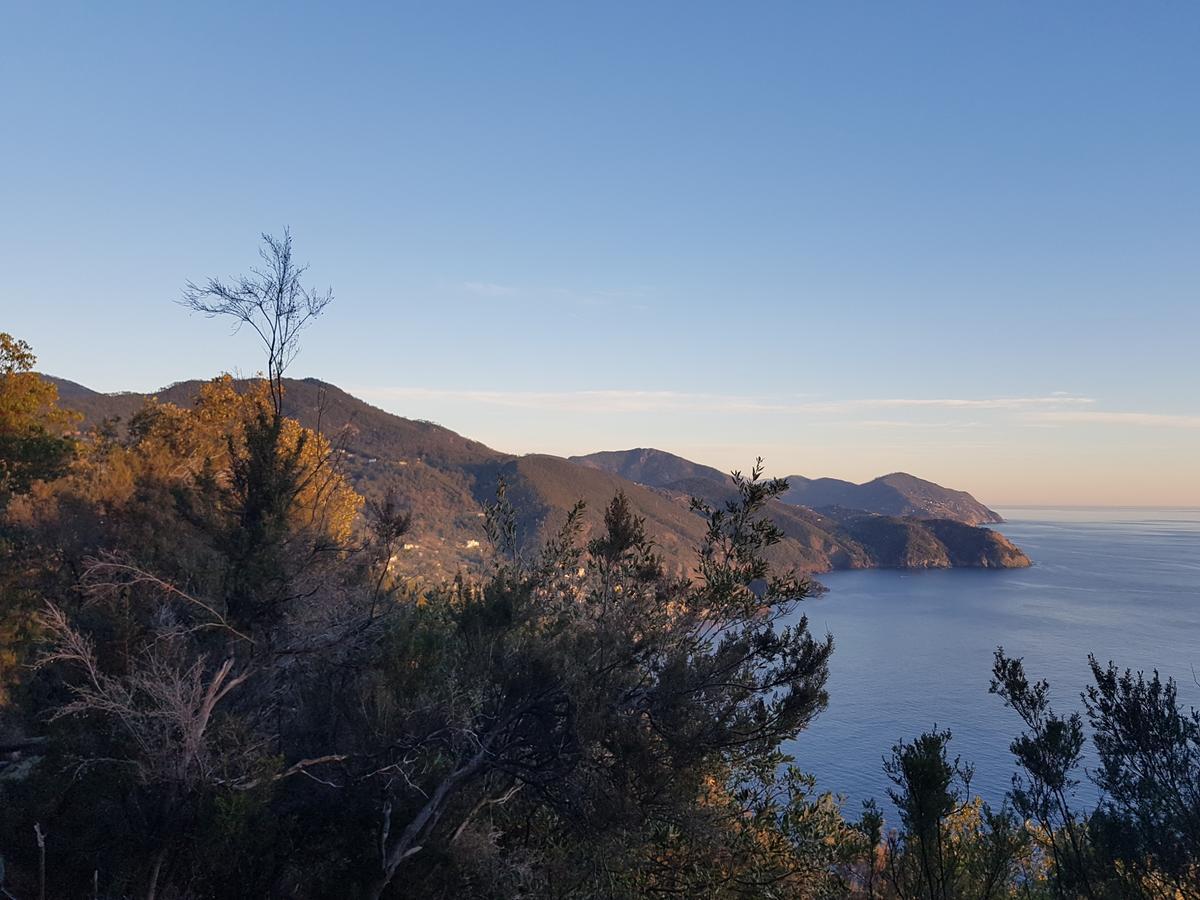 Il Laghello Di Amina Framura